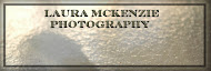 Laura McKenzie Photography