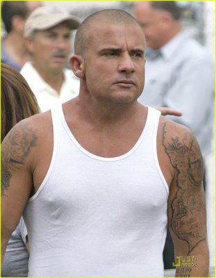 [dominic-purcell-abs-09.jpg]