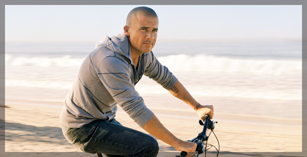 [purcell_main_1.jpg]