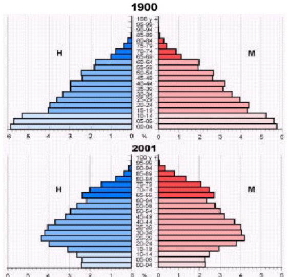ESTRUCTURA DE POBLACION POR EDAD estructura de poblacion por edad:
