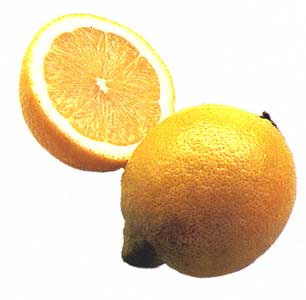 [lemon2.jpg]