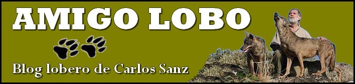 AMIGO LOBO: Blog lobero de Carlos Sanz