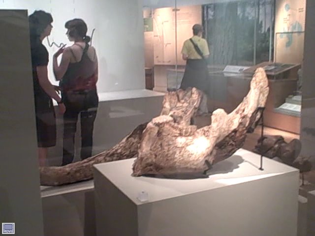 [Museum+of+London2.jpg]