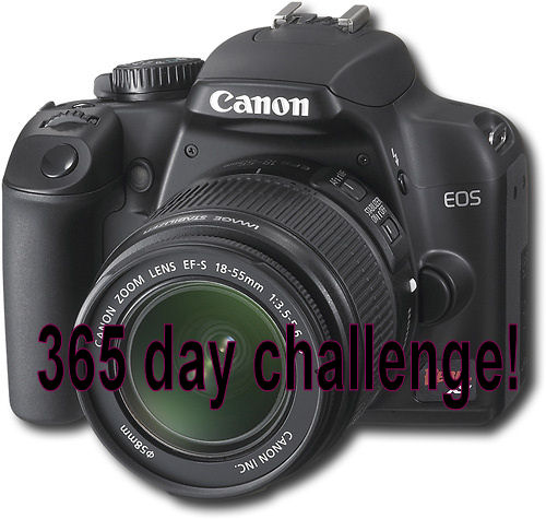 365 day photo challenge!