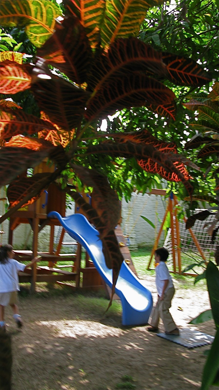 [IMG_3066.JPG]