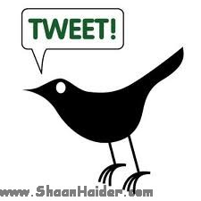 HOW TO : Embed the Tweets in Blog Posts