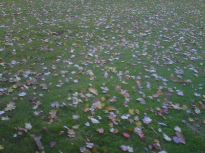 brostoncollege.blogspo... brostoncollege.blogspo...