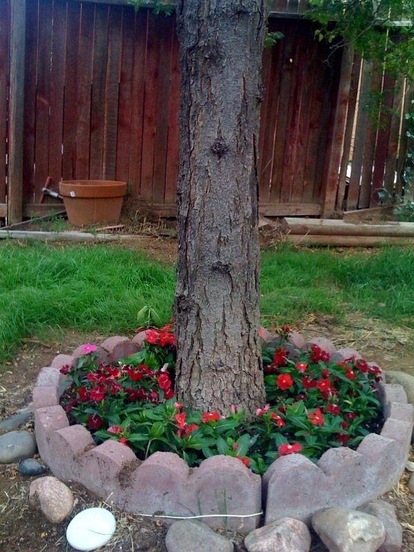 [garden+3.jpg]
