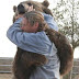 Αρκούδα - κατοικίδιο σκοτωσε το "αφεντικο" της