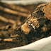 Σκελετό νεολιθικής εποχής εντόπισαν στην Βουλγαρία