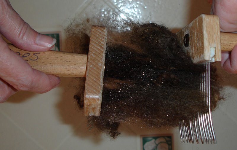 [holdingcombsparallelforcombing.jpg]