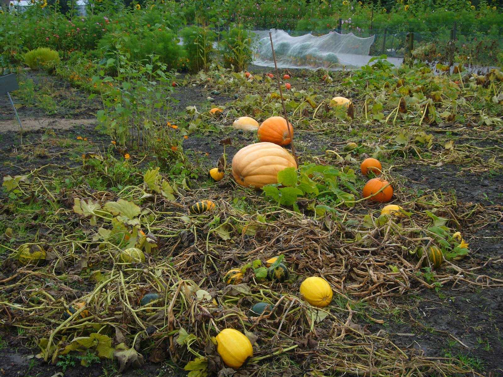 [P1100553.JPG]