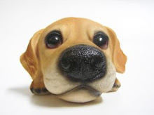 http://4.bp.blogspot.com/_eF3KMCeqiWA/THaS8BF_NhI/AAAAAAAAABM/6Yo6K6LEbKo/S220/gambar-hidung-anjing-lucu.jpg