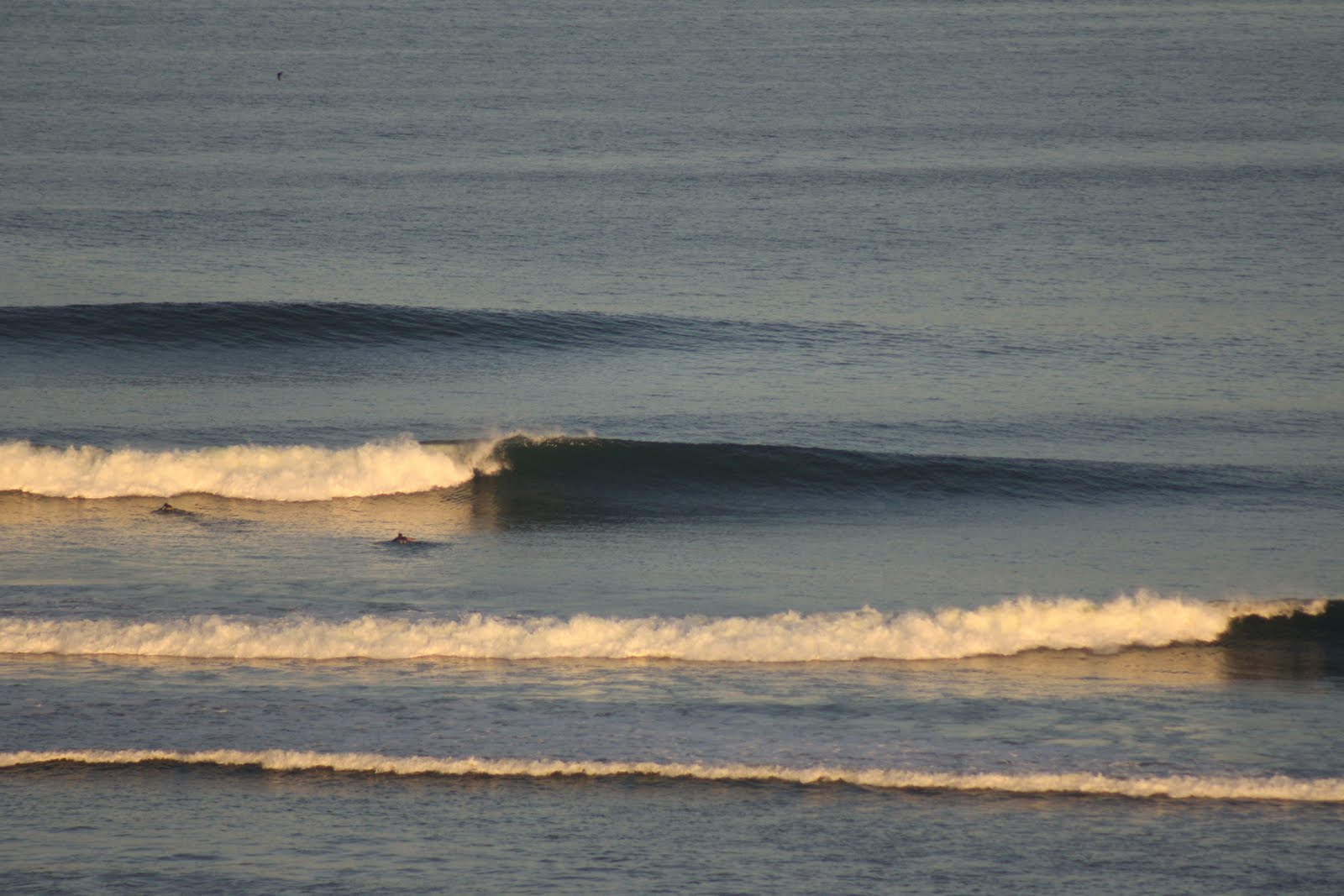 Surf Lombok