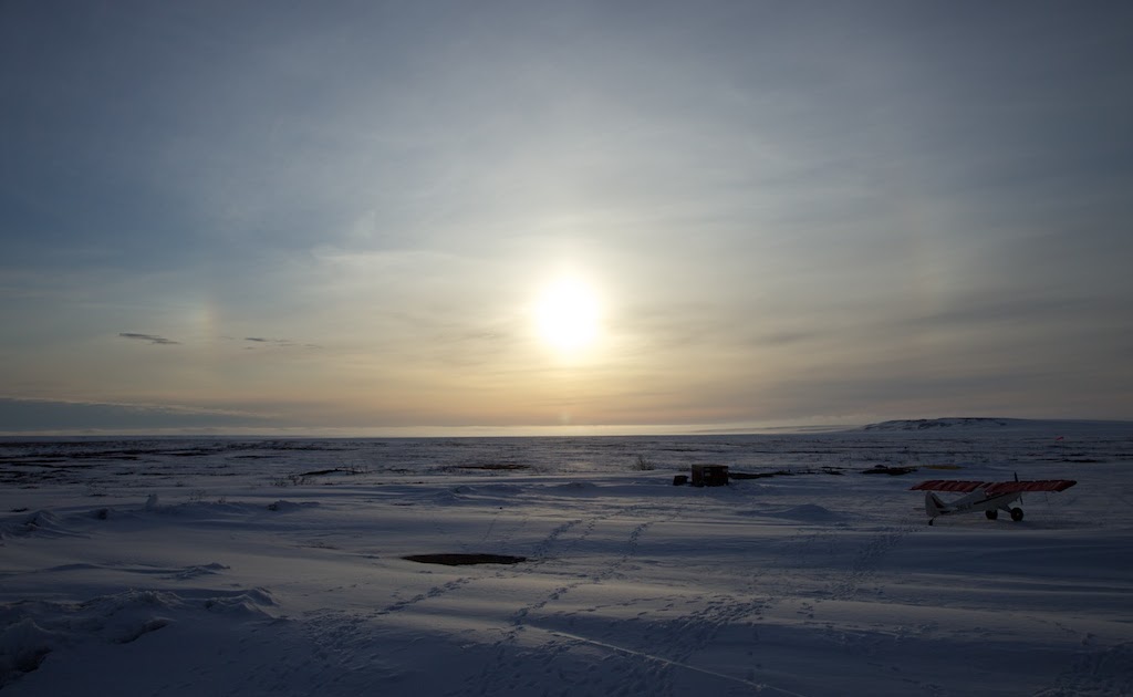 北海道&アラスカの野営的狩猟日記 アラスカ北緯70度だより（狩猟天国？）