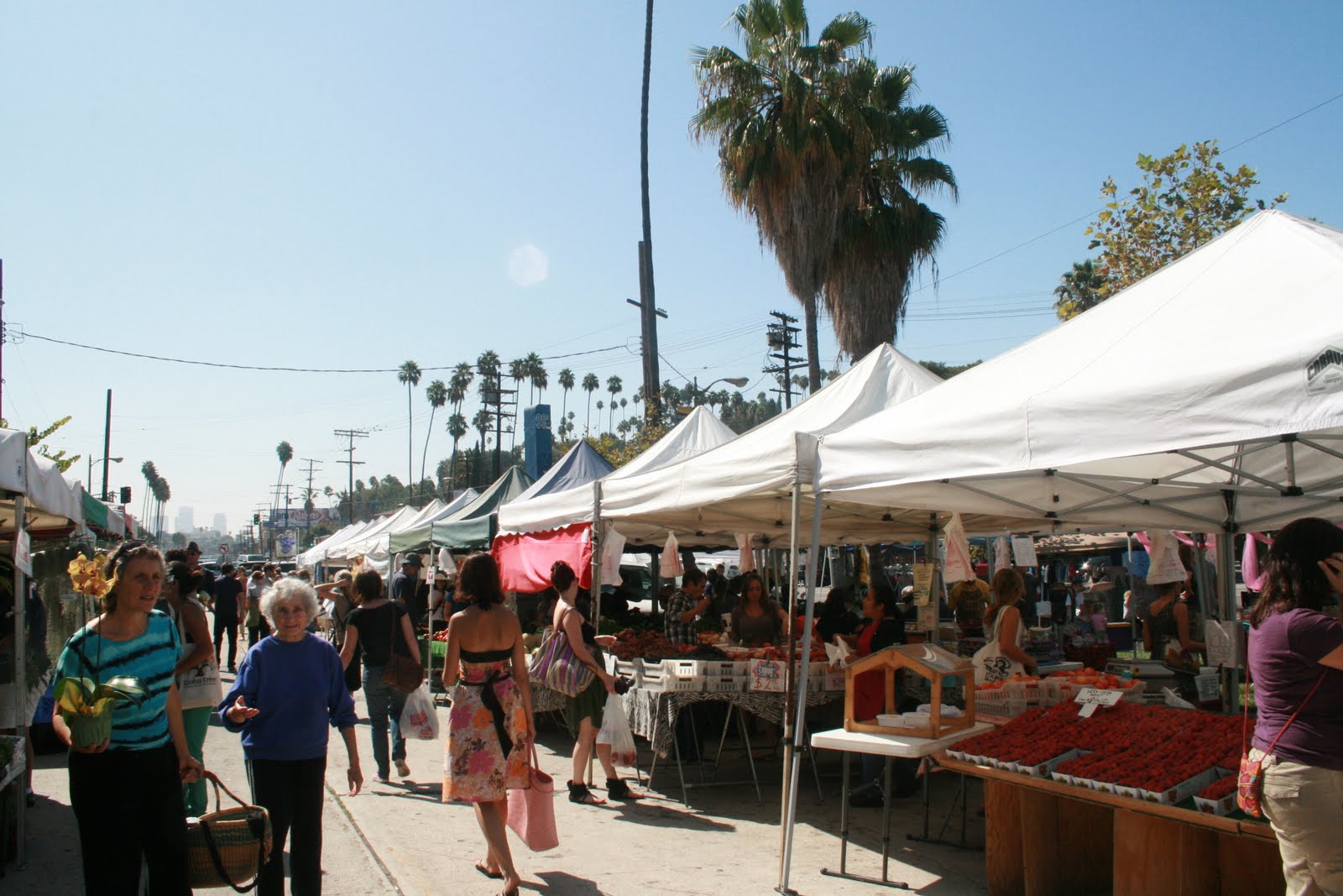 SEXY FOOD Farmer's Market Review!!! Silverlake Saturdays with Soledad Goat Cheese and Cam