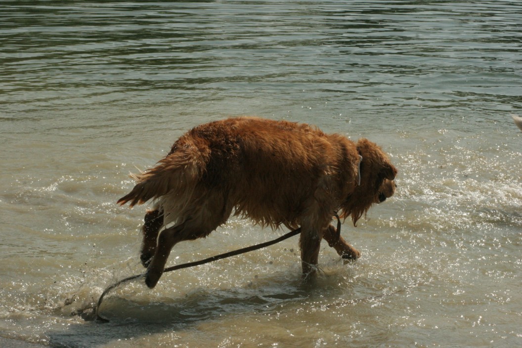 [IMG_0057.jpg]
