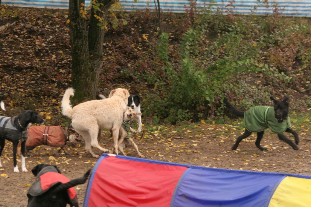 [09.10.09+057.jpg]