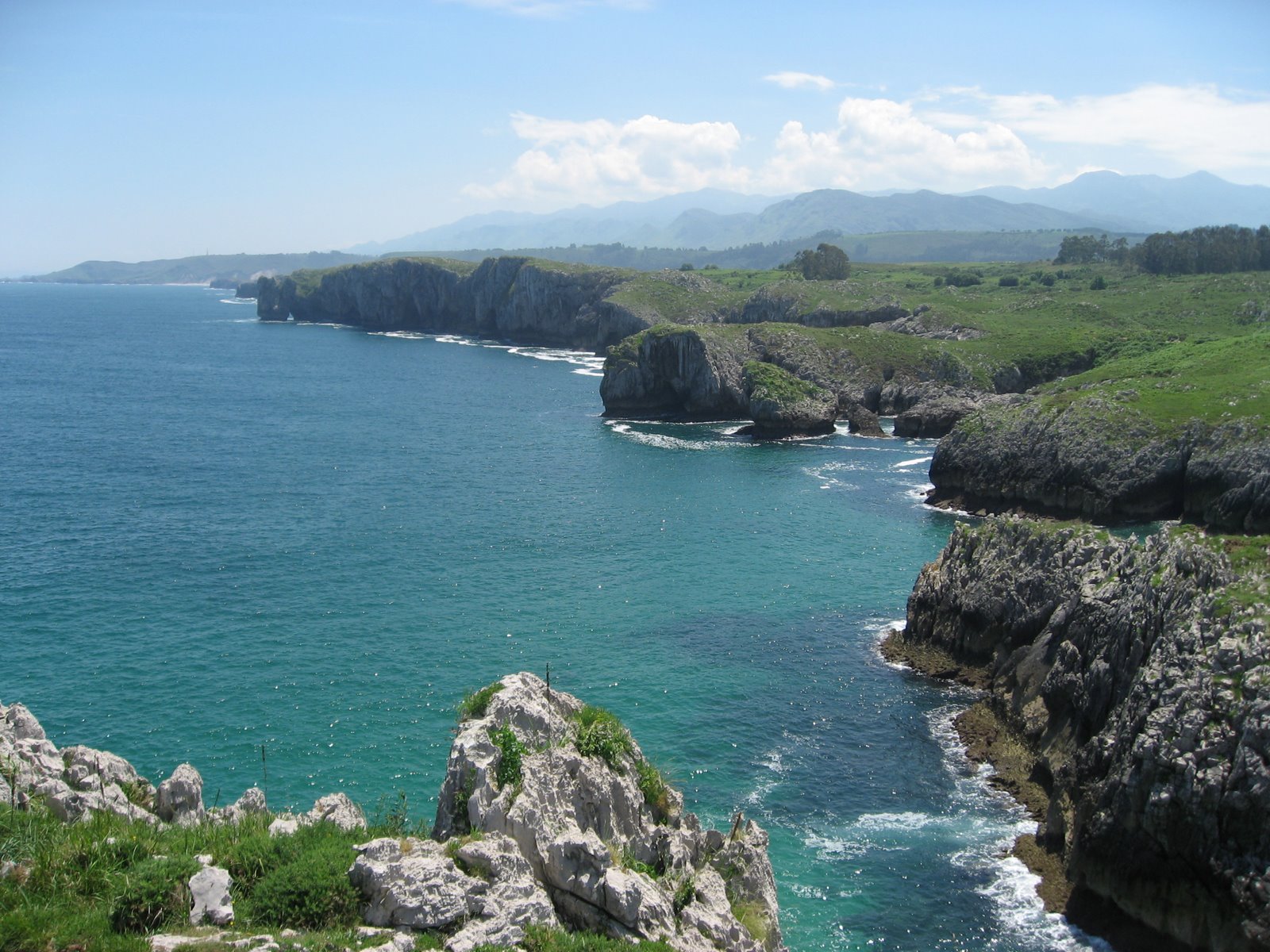 [IMG_0680.JPG]