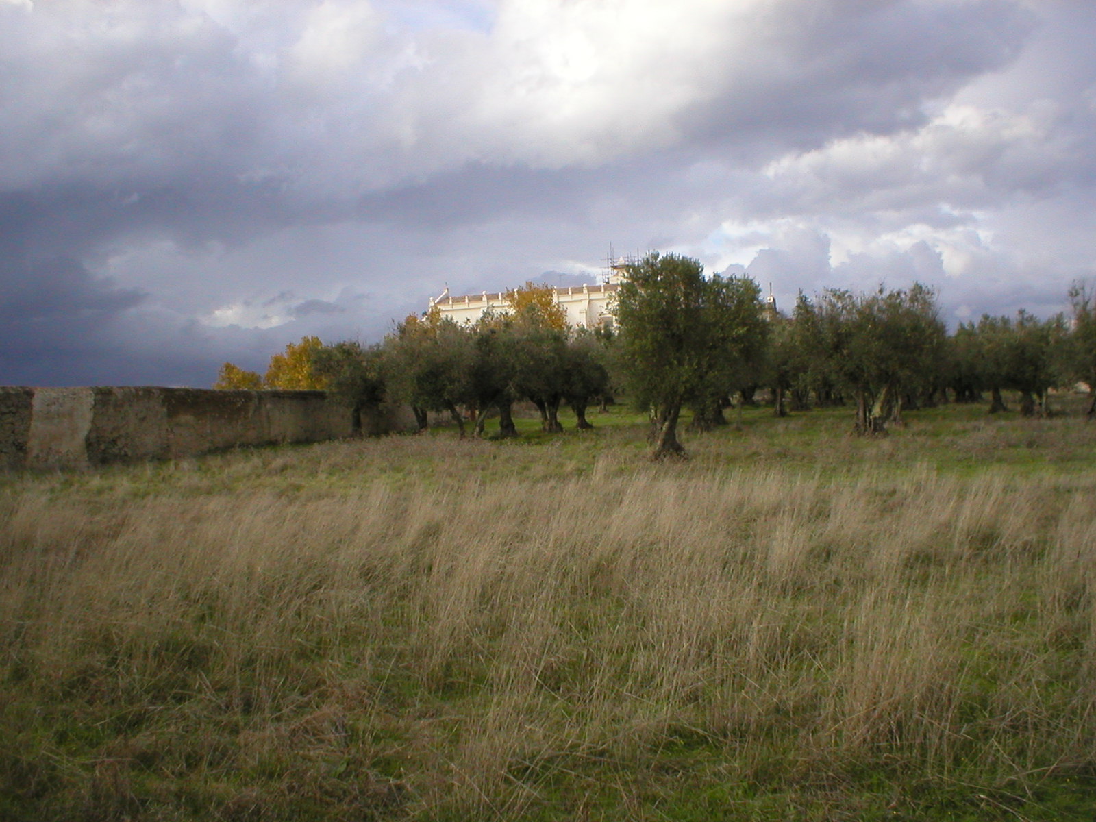 [P1010017.JPG]