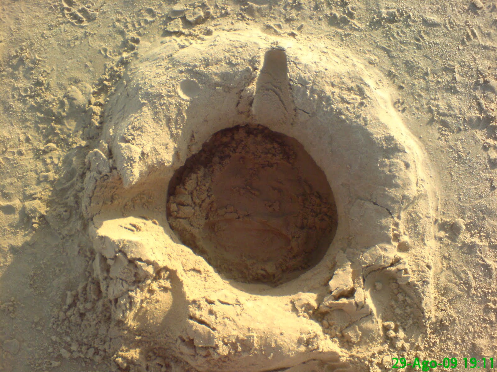 [DSC05504.JPG]