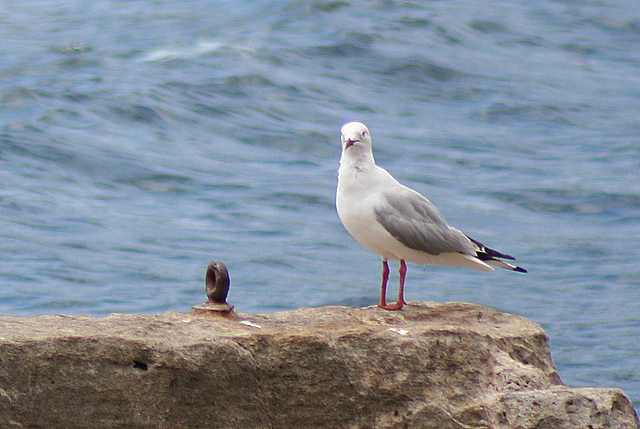 [IMG_5441.JPG]