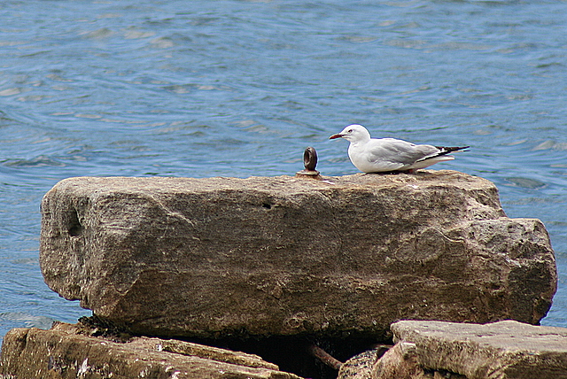 [IMG_5444.JPG]