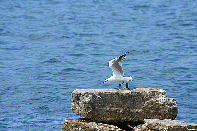 [IMG_5453.JPG]