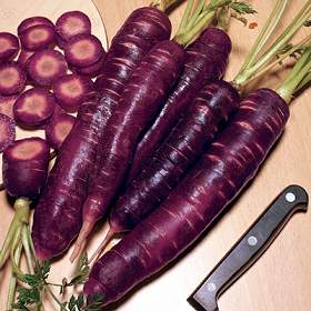 Purple Carrot Lobak Ungu Yang Terdapat Di Dalam Vivix Shaklee