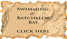 Open Water Swimming