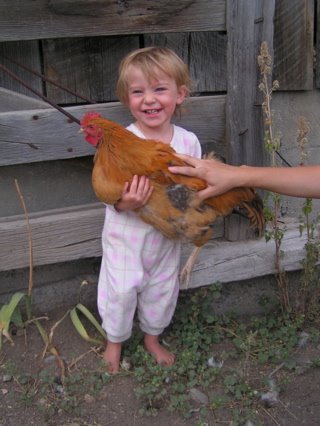 [aylaholdsrooster.JPG]