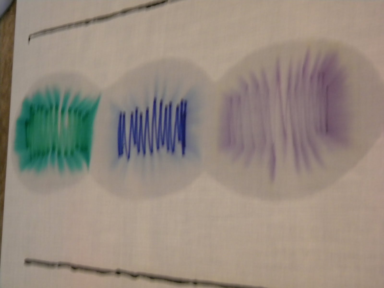 Exploring and Discovering Science Experiment 4 How Permanent Are