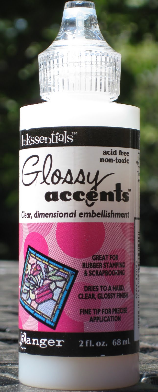 Silly Goose Designs Tutorials Continue..Glossy Accents and Glitter