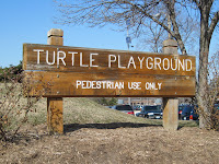 Turtle Playground Sign