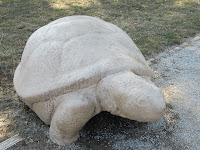 small cement turle