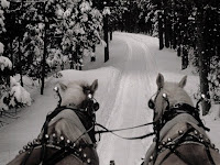 sleigh ride