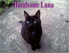 Beautiful Luna