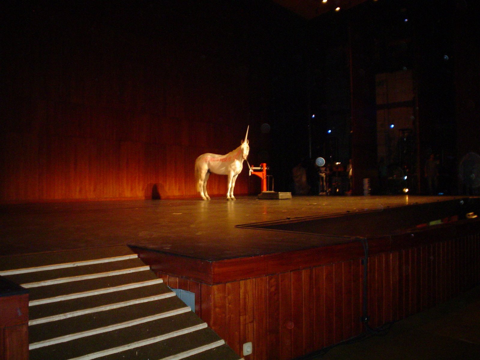 [DSC04806.JPG]