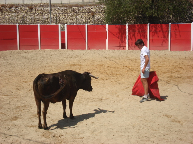 [DSC07255.JPG]