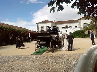 [SP_A0100.jpg]