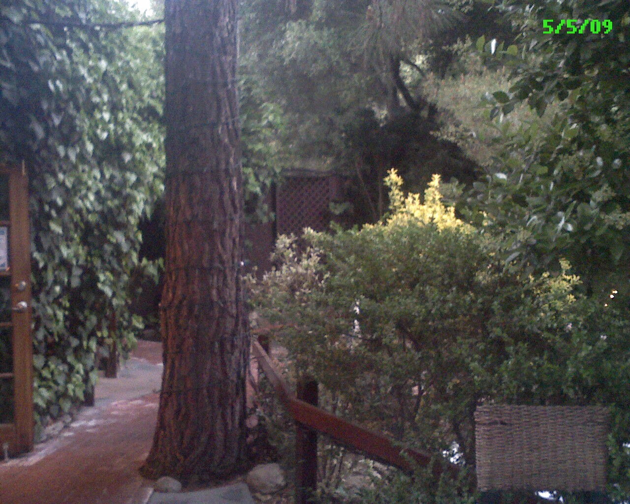 [Photo_05-705910.jpg]