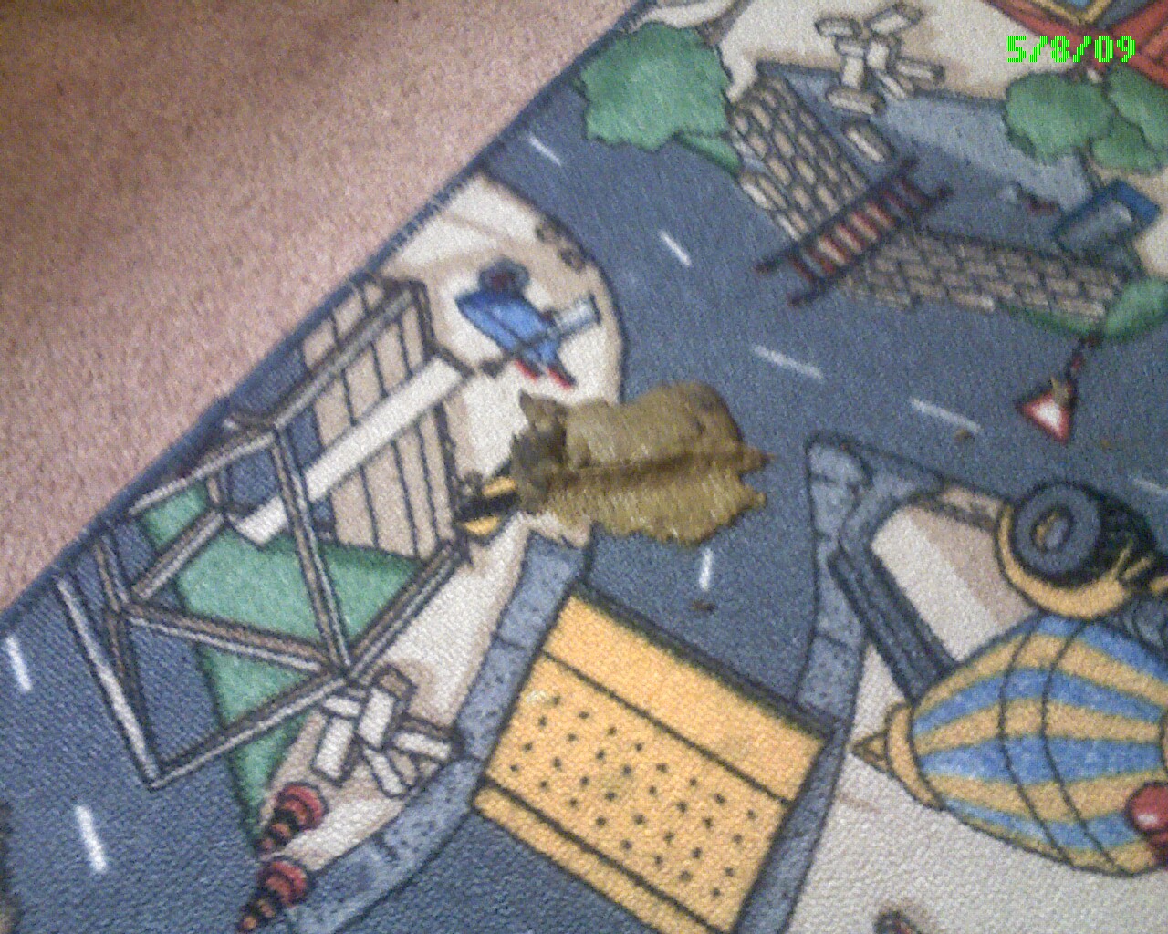 [Photo_05-795177.jpg]