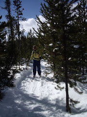 Skiing in Yellowstone
