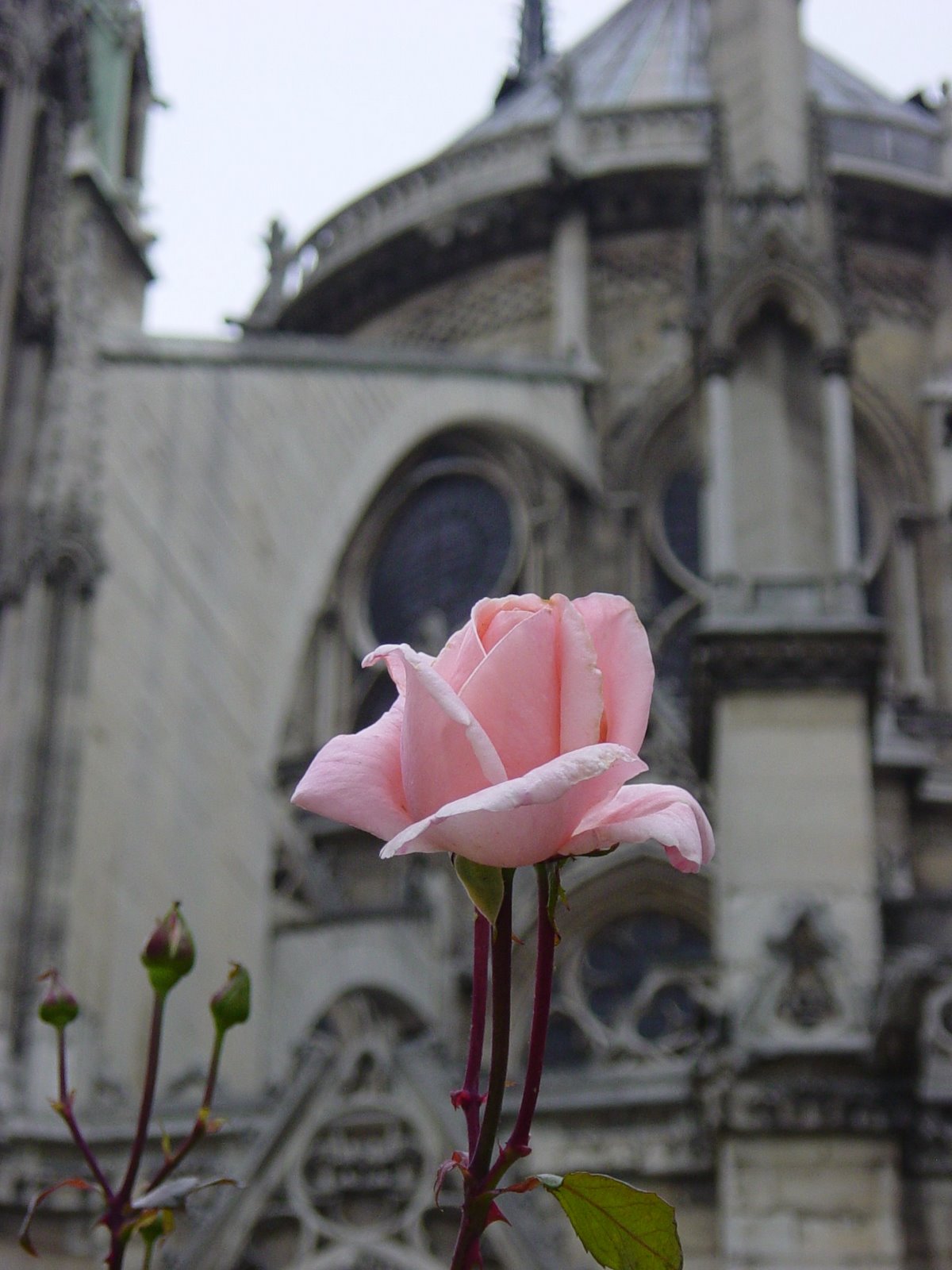[DSC06704.JPG]