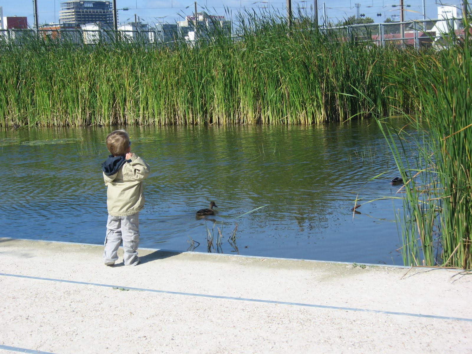 [IMG_3703.JPG]