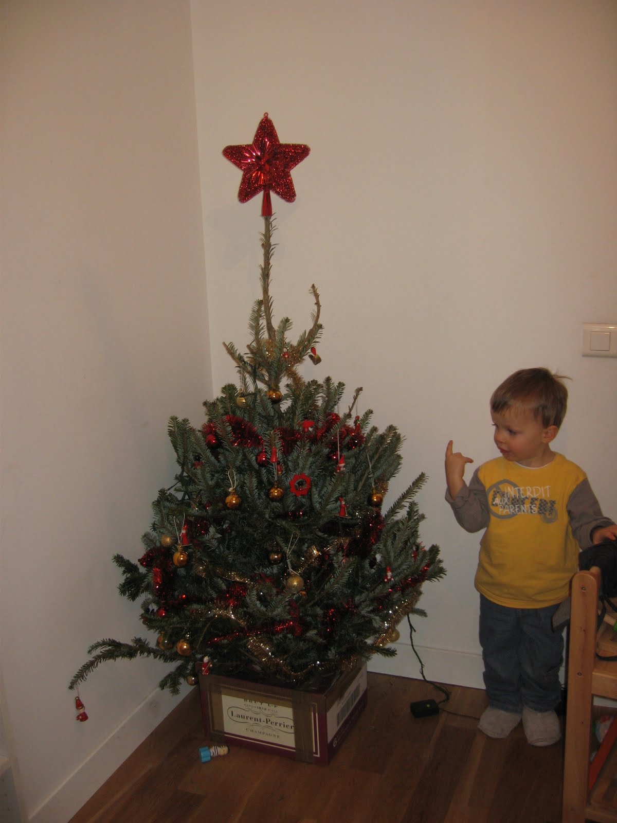 [IMG_4677-739065.JPG]