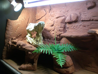 stackable-bearded-dragon-cages