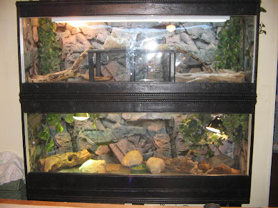 bearded-dragon-cage-accessories-01