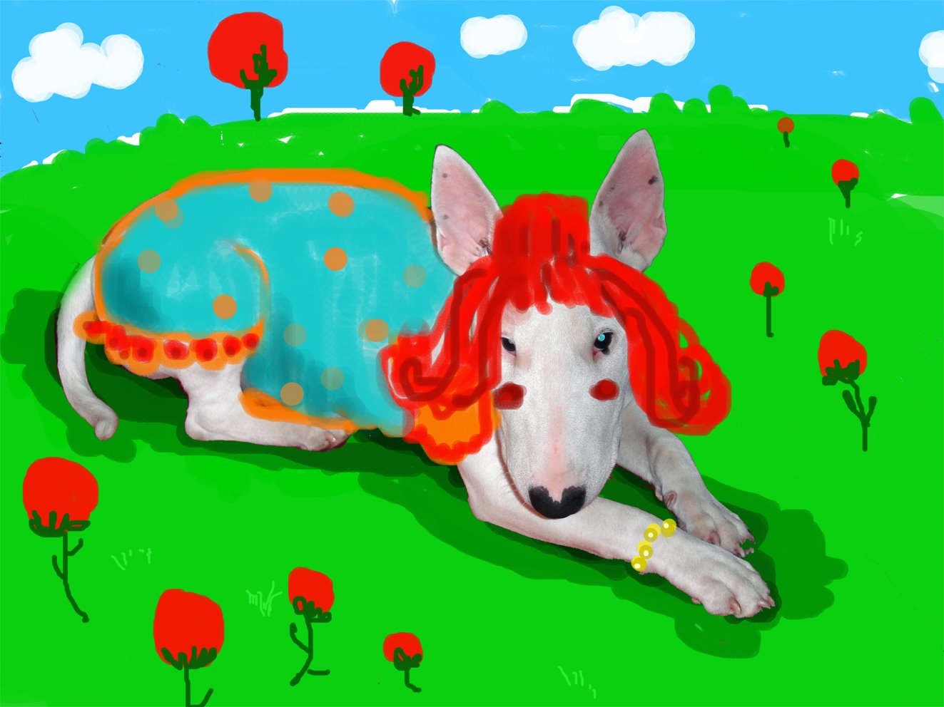 [Lehua_campo+copia.jpg]