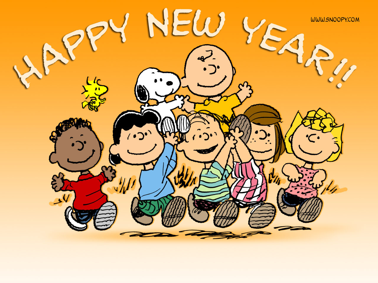 http://4.bp.blogspot.com/_eN9nCQOP-mE/TRmxwVW7BUI/AAAAAAAAAq4/iWHgXmWXAiE/s1600/happy_new_year_charlie_brown.jpg